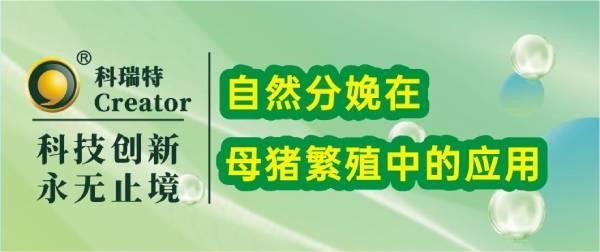 养殖技术 | 自然分(fēn)娩在母猪繁殖中的应用(yòng)