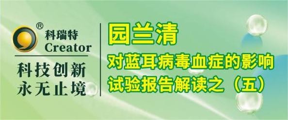 养殖技术 | 园兰清对PRRSV攻毒仔猪保护试验综合解读-试验报告解读之五